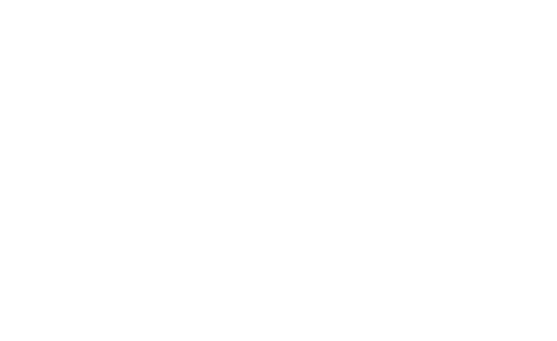 Logo Flint